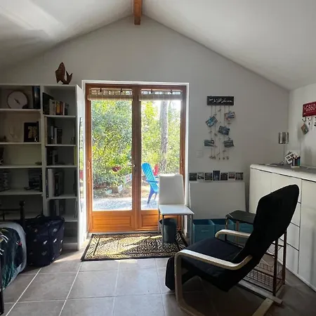 Le Cabanon Entouré De Pins