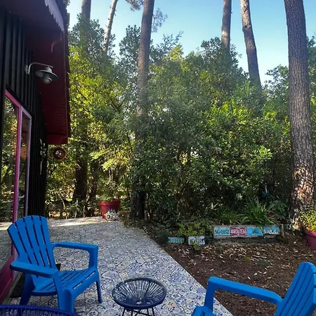 Chalet Le Cabanon Entouré De Pins Lacanau
