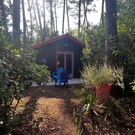 Le Cabanon Entouré De Pins
