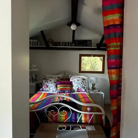 Le Cabanon Entouré De Pins