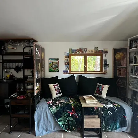 Le Cabanon Entouré De Pins Chalet *