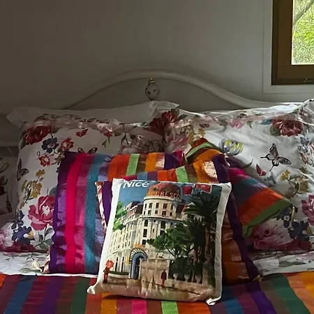 Le Cabanon Entouré De Pins * Lacanau