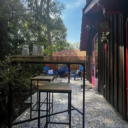 Le Cabanon Entouré De Pins