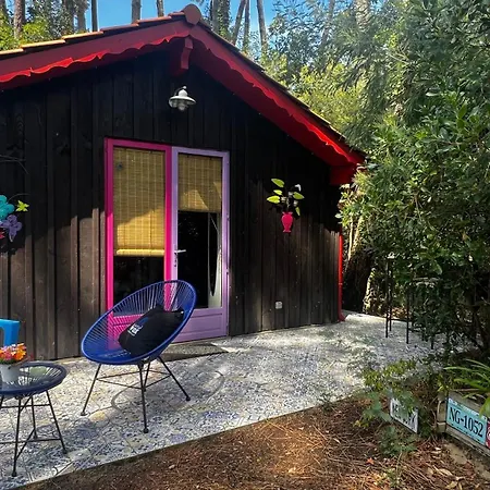 Chalet Le Cabanon Entouré De Pins Lacanau