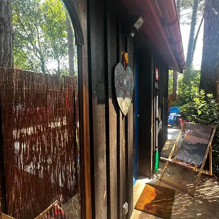 Le Cabanon Entouré De Pins *
