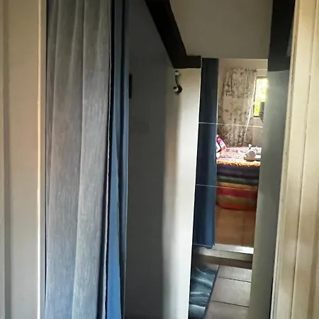 Le Cabanon Entouré De Pins Chalet Lacanau