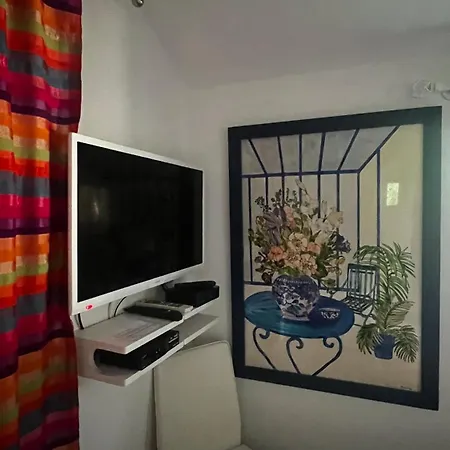 Le Cabanon Entouré De Pins *