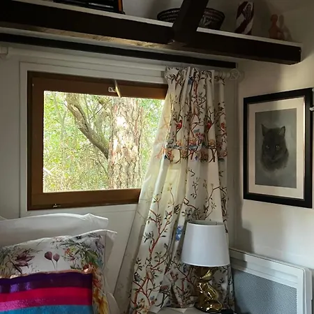 Le Cabanon Entouré De Pins Lacanau