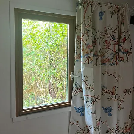 Le Cabanon Entouré De Pins Chalet *