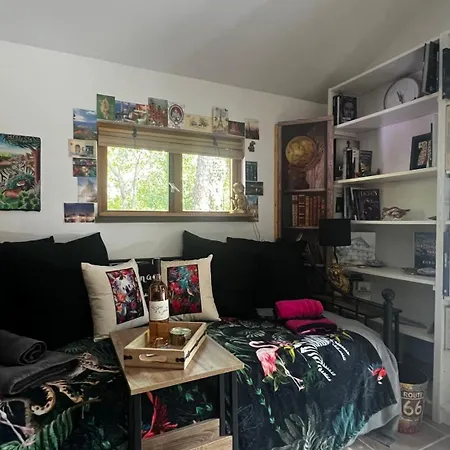 Le Cabanon Entouré De Pins * Lacanau