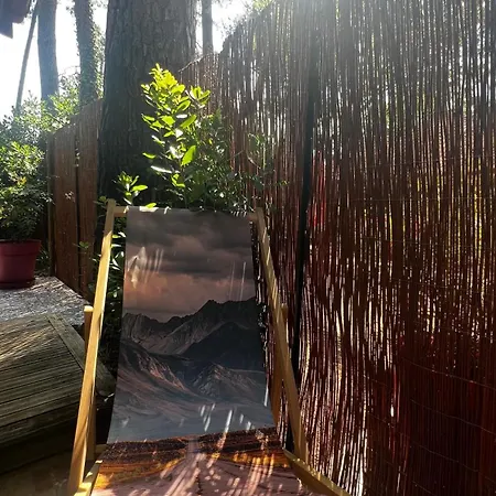Le Cabanon Entouré De Pins
