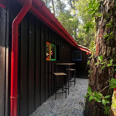 Le Cabanon Entouré De Pins