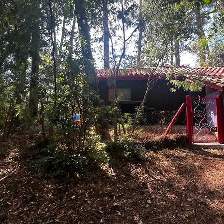 Le Cabanon Entouré De Pins * Lacanau