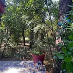 Le Cabanon Entoure De Pins Шале