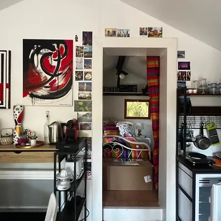 Le Cabanon Entoure De Pins *