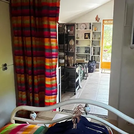 Chalet Le Cabanon Entoure De Pins Lacanau