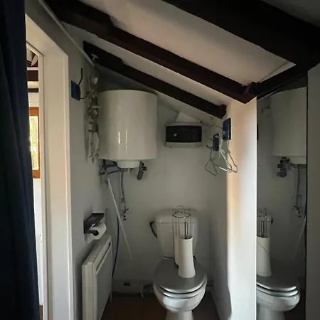 Le Cabanon Entoure De Pins Lacanau