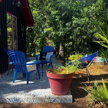 Chalet Le Cabanon Entoure De Pins