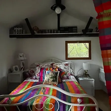 Le Cabanon Entouré De Pins