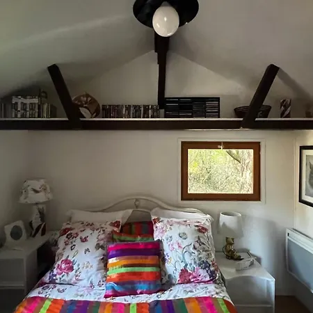 Le Cabanon Entouré De Pins