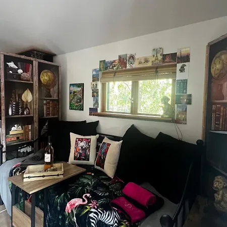 Le Cabanon Entouré De Pins Chalet Lacanau