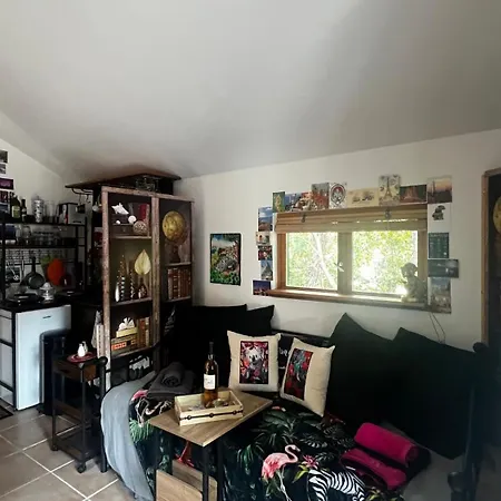 Le Cabanon Entouré De Pins *