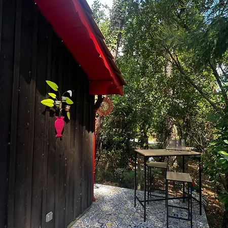 Le Cabanon Entouré De Pins * Lacanau