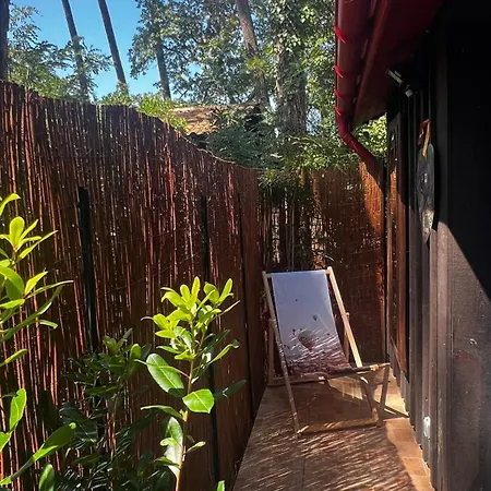 Le Cabanon Entouré De Pins Chalet Lacanau