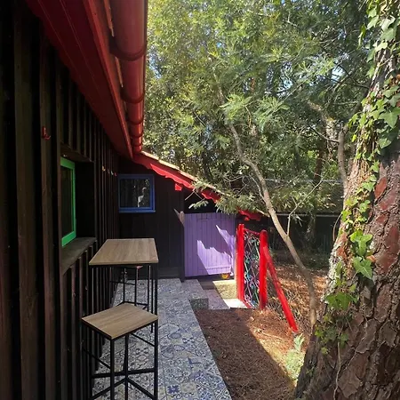 Le Cabanon Entouré De Pins *