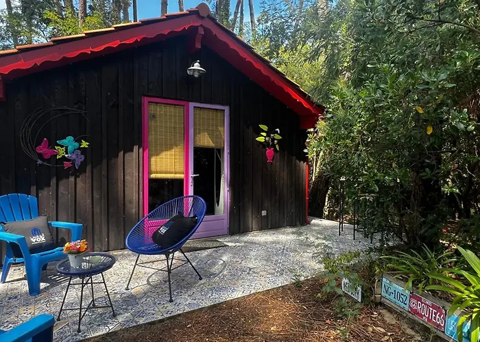 Dağ evi Le Cabanon Entoure De Pins Lacanau