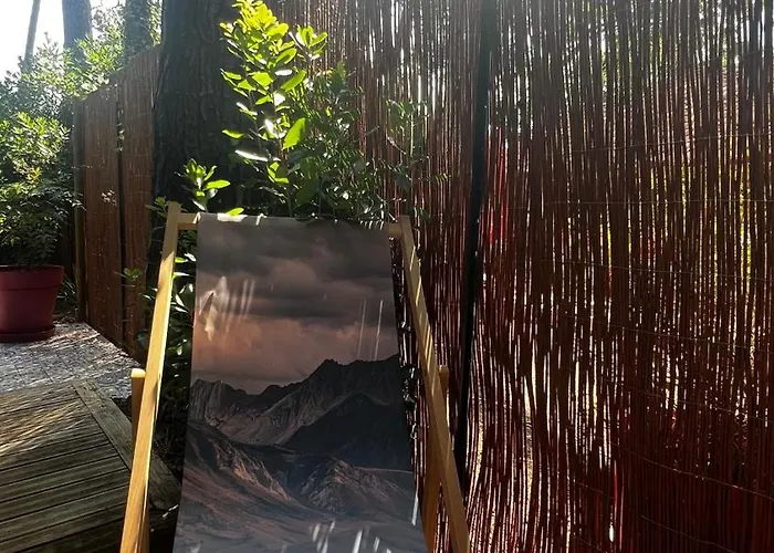 Le Cabanon Entoure De Pins