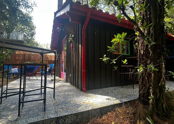 Dağ evi Le Cabanon Entoure De Pins *